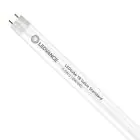 Ledvance LED Röhre T8 Value (EM/Mains) Standard Output 6.6W 800lm - 840 Kaltweiß | 60cm - Ersatz für 18W